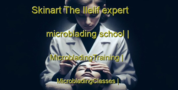 Skinart The Ilelif expert microblading school | MicrobladingTraining | MicrobladingClasses | SkinartTraining-Chad